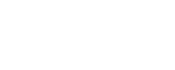 austin
